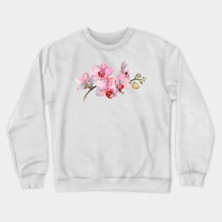 Orchid. Exclusive present. Gift for a friend. Funny art print Crewneck Sweatshirt